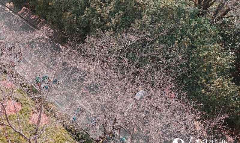 ��h��W(xu��)У�@��(n��i)���֙ѻ��ѽ�(j��ng)��Ȼ�`�š�����W(w��ng) �����ɔz