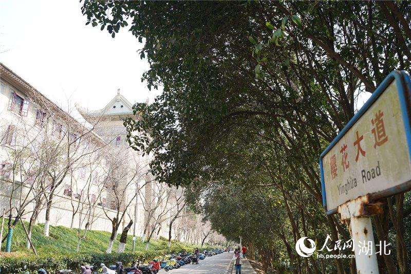 ��h��W(xu��)�ѻ�����ϙѻ����`������W(w��ng) �����ɔz