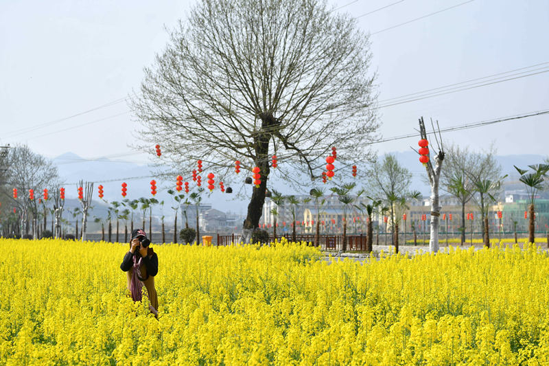 �ο��ں���ʡ����б����h�R���(zh��n)�μҞ����Ͳ˻�������