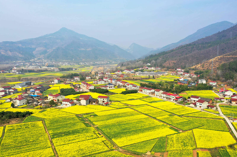 ����ʡ����б����h�R���(zh��n)�μҞ����Ͳ˻���