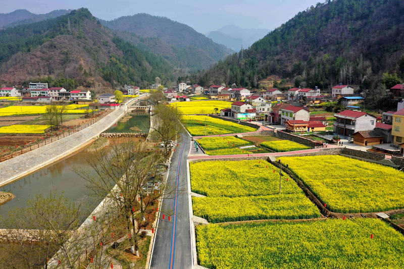 ����ʡ���(y��ng)�б����h�R���(zh��n)�μҞ����Ͳ˻���