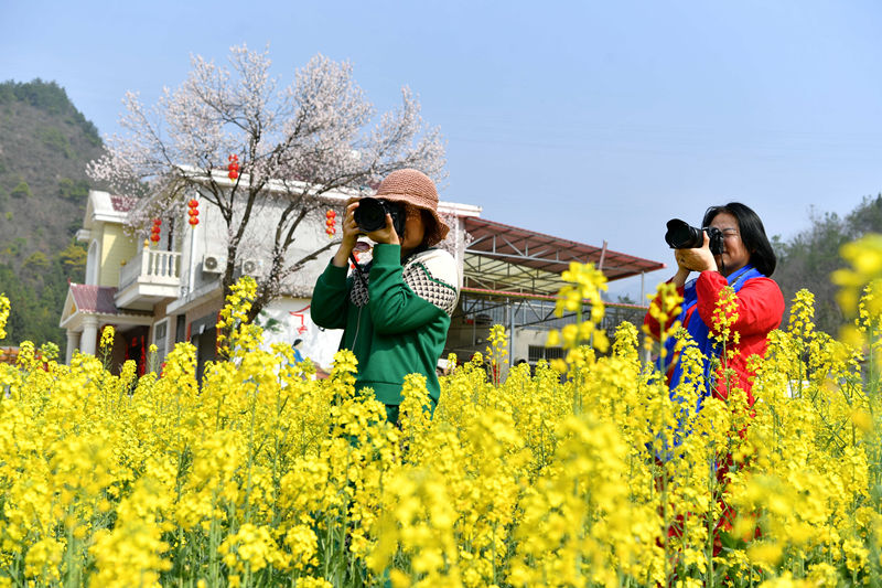 �ο��ں���ʡ���(y��ng)�б����h�R���(zh��n)�μҞ����Ͳ˻�������