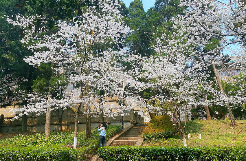 ��h��W(xu��)�ѻ��`�� �_�žW(w��ng)�j(lu��)�����p�ѡ�ͨ����3��