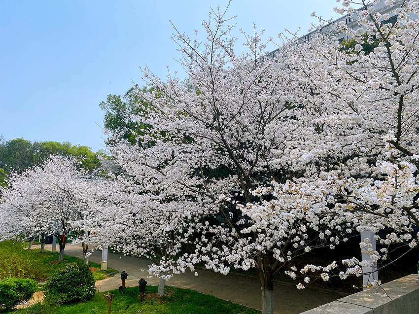 ��h��W(xu��)�ѻ��`�� �_�žW(w��ng)�j(lu��)�����p�ѡ�ͨ����2��