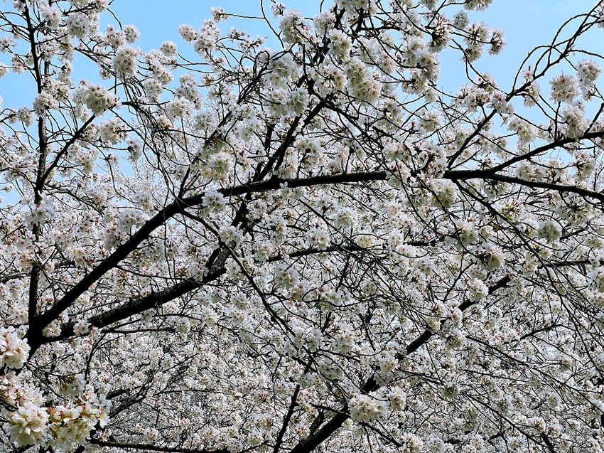 ��h��W�ѻ��`�� �_�žW(w��ng)�j(lu��)�����p�ѡ�ͨ����4��