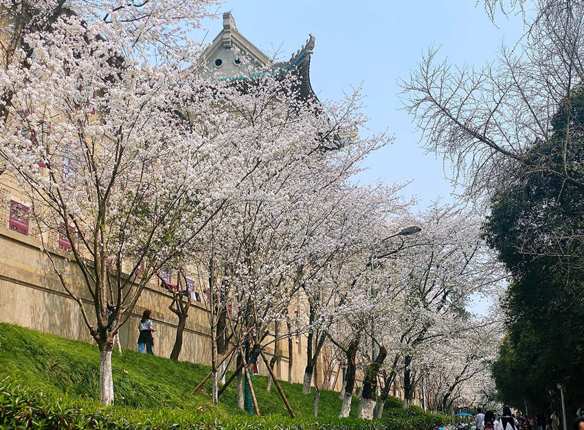 ��h��W(xu��)�ѻ��`�� �_�žW(w��ng)�j(lu��)�����p�ѡ�ͨ����7��