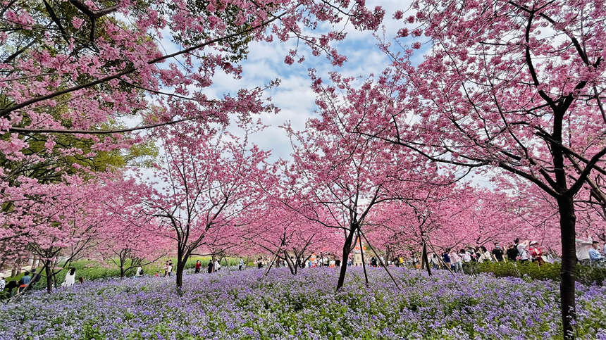 ��h�|��֮���c����sӢ��֮�ǡ�14��