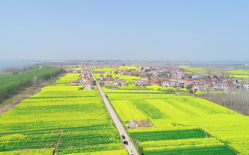 �����ˮ�h���޴���Ͳ˻���ʢ�_(k��i)