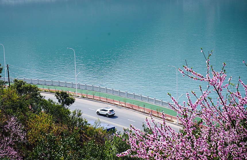 �����͖|���{������� �һ���������ɫ��2��