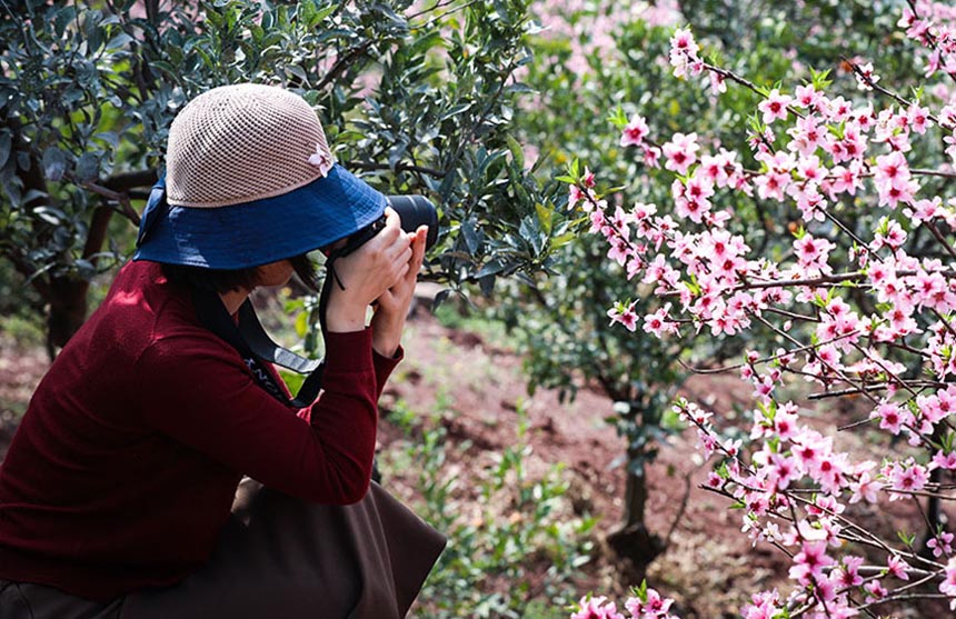 �����͖|���{������� �һ�������(zh��ng)��ɫ��5��