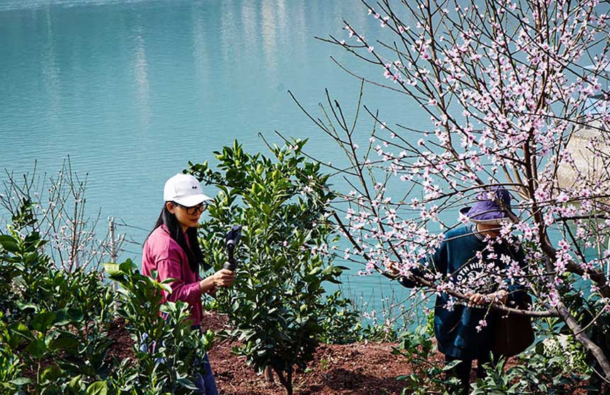 �����͖|���{������� �һ���������ɫ��6��