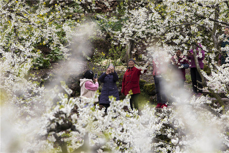 ���w�hɳ�(zh��n)Ϫ�(zh��n)�߳������ӈ@��(n��i)�����������