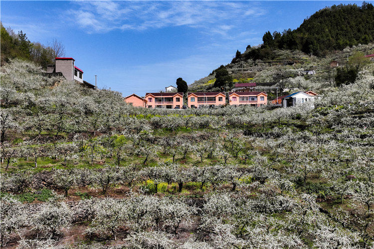 ���w�hɳ�(zh��n)Ϫ�(zh��n)�߳������ӈ@�� 