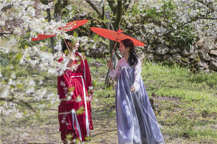 �ο������h���������ӈ@��(n��i)���������մ򿨡�