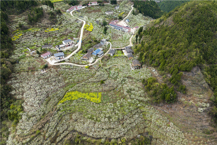 �������w�hɳ�(zh��n)Ϫ�(zh��n)�߳������ӈ@��