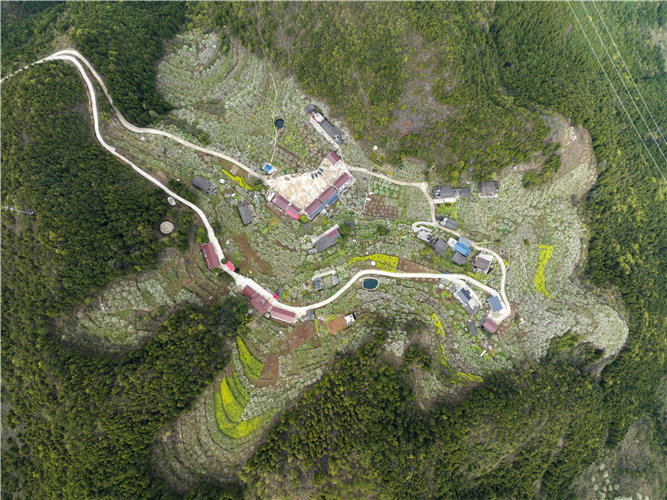 �������w�hɳ�(zh��n)Ϫ�(zh��n)�߳������ӈ@ 