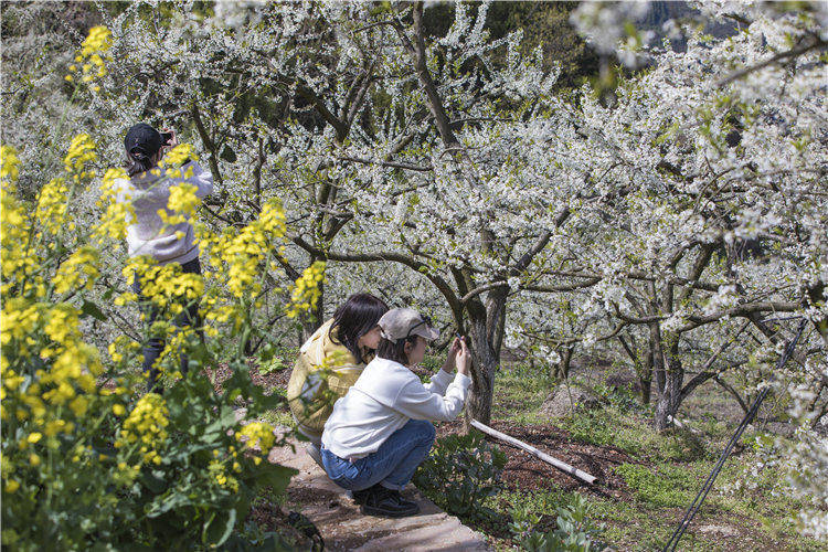 ���w�hɳ�(zh��n)Ϫ�(zh��n)�߳������ӈ@��(n��i)�Ĕz��