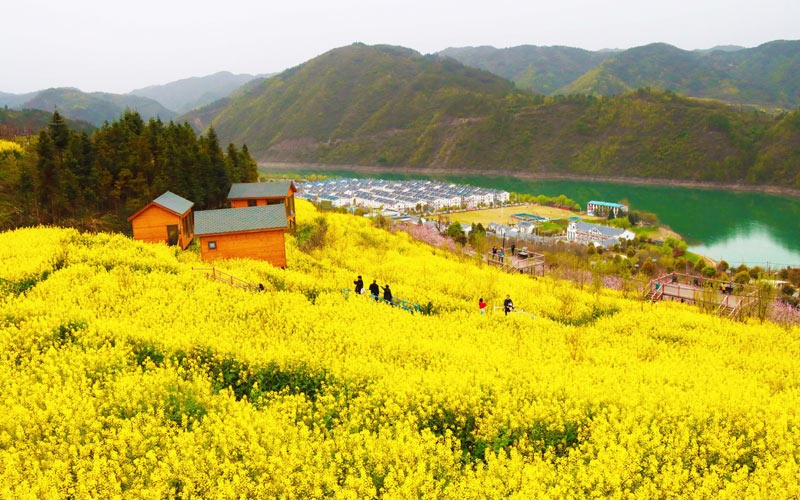 ��N�N���Ͳ˻���