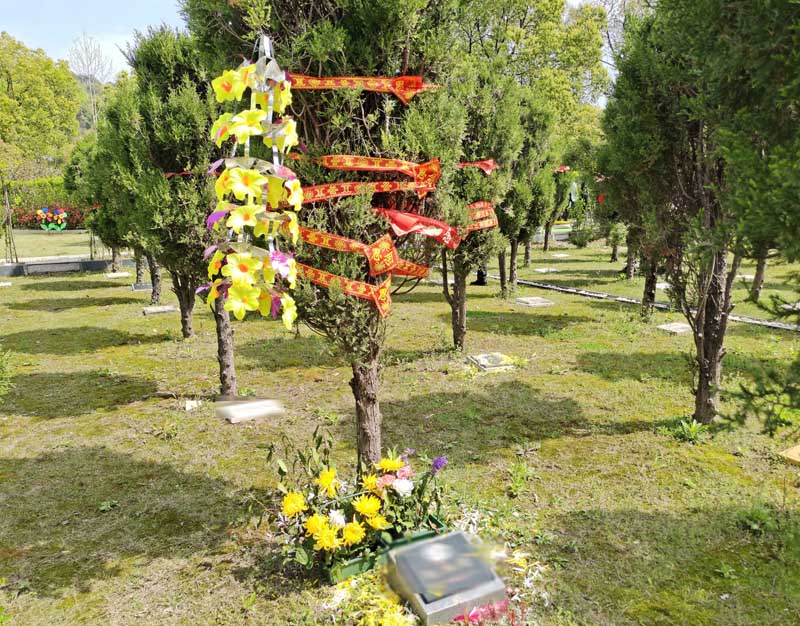 ����ͨ�^(gu��)�r���z�����а�˼�����L�߹��D