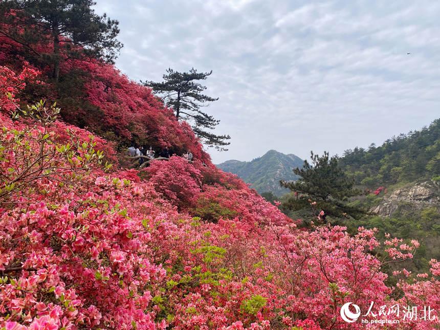 �������g������ ��ɽ���N�����t��7��