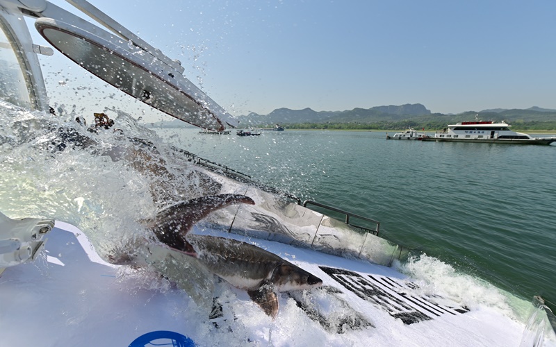 23�fβ���A�\�Św�L���F(xi��n)��(ch��ng)�������z