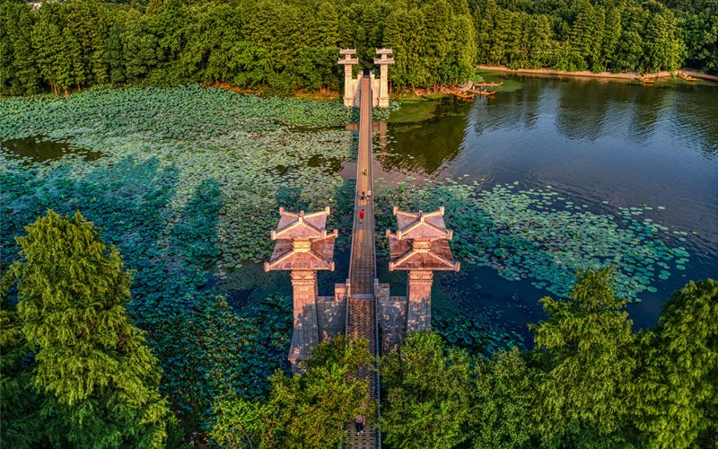 �|�����㾰�^(q��) ���L���z