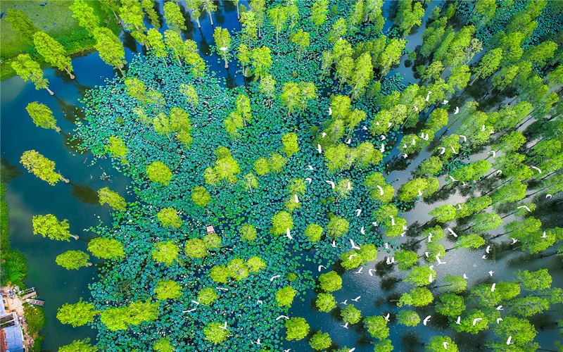 �q�ɺ� ���(qi��ng)�z