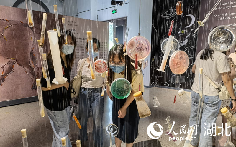 ����(chu��ng)Ҋ������ˇ�g(sh��)չ������W(w��ng) �����z