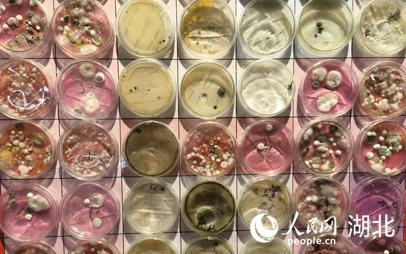 ����(chu��ng)Ҋ������ˇ�g(sh��)չ������W(w��ng) �����z