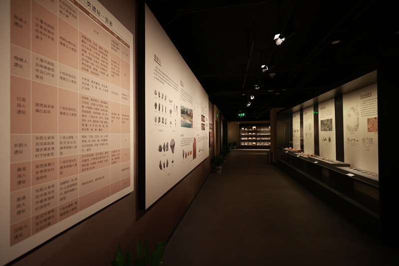 Ŀǰԓ�^�O(sh��)������(g��)����������������Ų����^���D