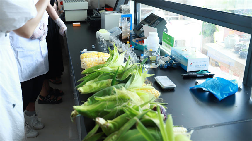 ��h�h��6�f�������׫@�S�� ��әz�y��ʳƷ��ȫ��2��