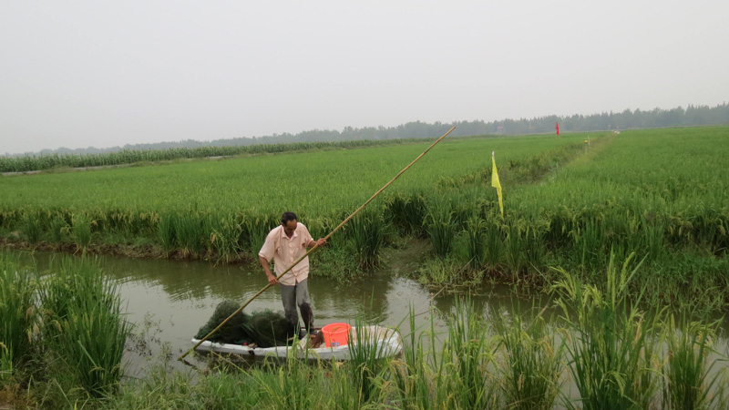 ���r���������������D