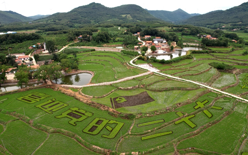 ����ʡ�˳�����ˮ�(zh��n)����庽�ĵĵ��ﮋ��