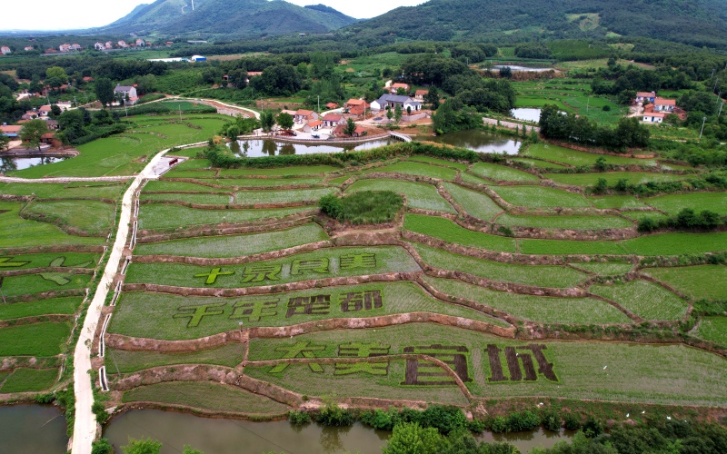 ����ʡ�˳�����ˮ�(zh��n)����庽�ĵĵ��ﮋ��