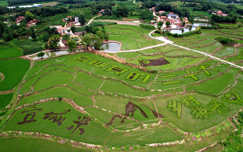 ����ʡ�˳�����ˮ�(zh��n)����庽�ĵĵ��ﮋ(hu��)��