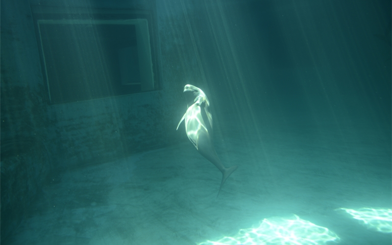 福久在武漢白鱀豚館。武漢白鱀豚保護(hù)基金會(huì)供圖