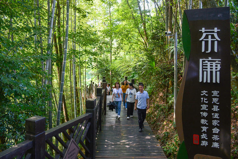 圖為參加全縣公務(wù)員更新知識培訓(xùn)班的學(xué)員正在伍家臺茶廉文化宣傳教育基地開展廉政教育。