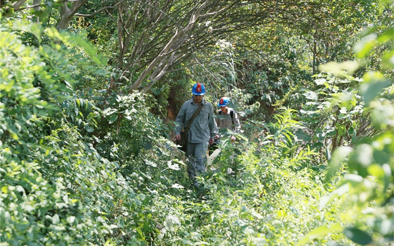 國網宜昌供電公司輸電運檢分公司運維一班副班長祝萬波，運維工王建明、夏鈺杰向著山頂的鐵塔進發(fā)。李治飛、羅喻昀攝