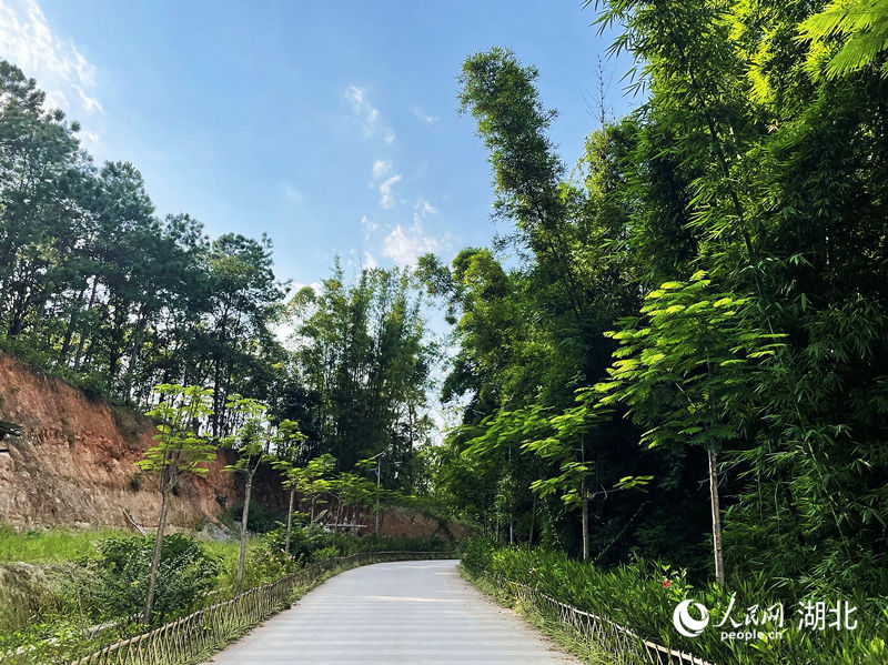 芒現(xiàn)村民小組曲徑通幽。人民網(wǎng) 周恬攝