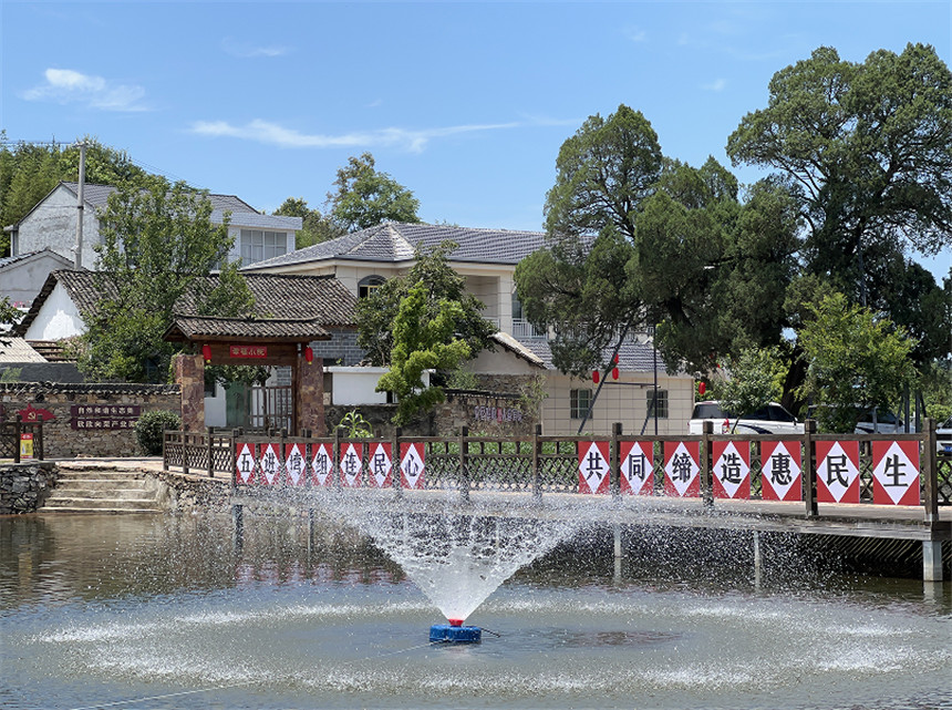 締造美好環(huán)境與幸福生活 打造鄉(xiāng)村振興“示范片”。