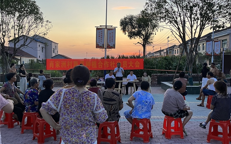 鎮(zhèn)、村干部圍坐一圈開展村灣夜話