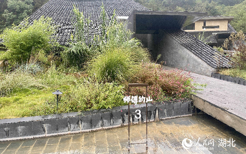 師傅的山民宿。張沛攝