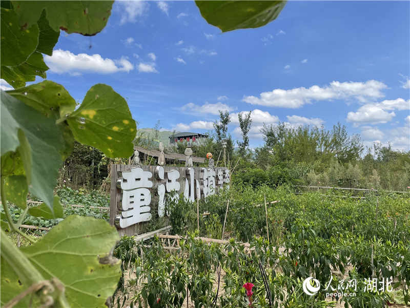 利川市汪營鎮(zhèn)齊躍橋村童話小鎮(zhèn)生態(tài)農(nóng)場。人民網(wǎng) 周恬攝