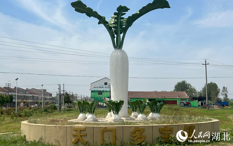 天門市多寶鎮(zhèn)路口的蘿卜雕塑。人民網(wǎng) 肖璐欣攝