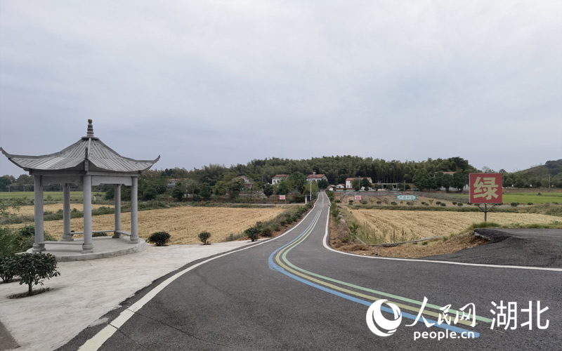 咸安區(qū)汀泗橋鎮(zhèn)黃荊塘村八組，整潔干凈的新農(nóng)村。周雯攝