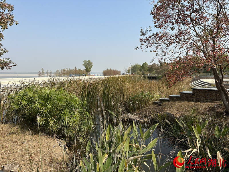 青山江灘雨水濕地廣場。張沛攝