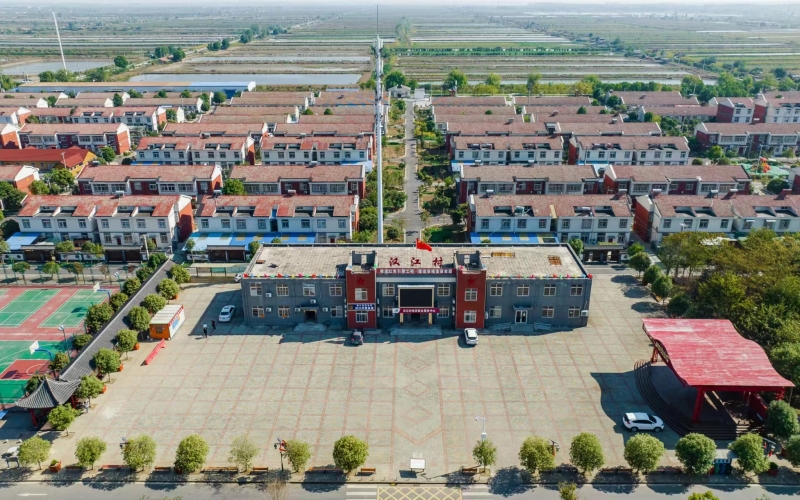 武漢市漢南區(qū)漢江村。武漢市農(nóng)業(yè)農(nóng)村局供圖