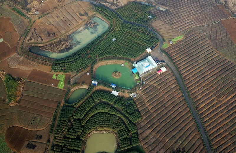 湖北竹山縣寶豐鎮(zhèn)綠色庭院。