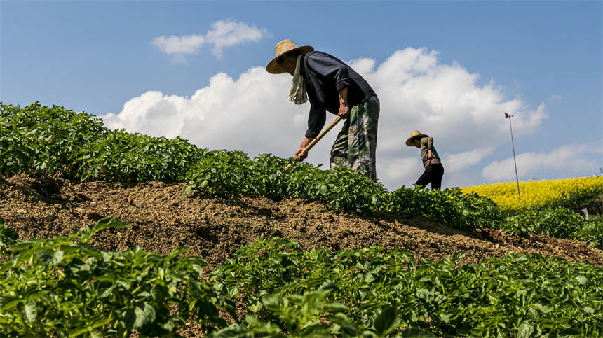 湖北建始:奏響大地勞作的序曲