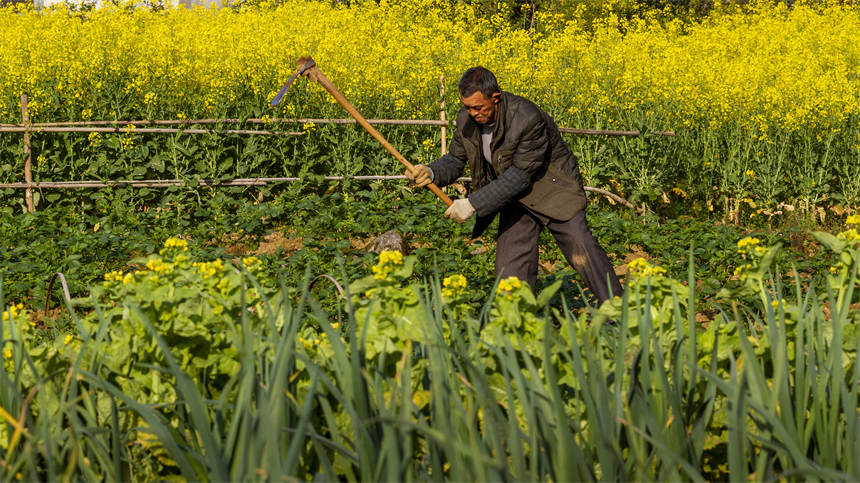 湖北建始:奏響大地勞作的序曲